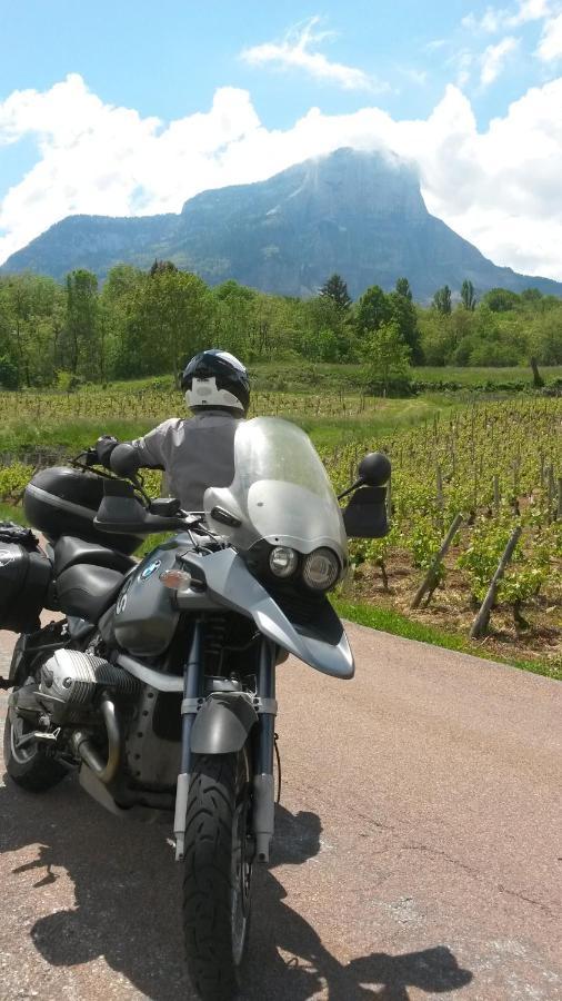 Les Tilleuls Saint-Jean-d'Avelanne エクステリア 写真