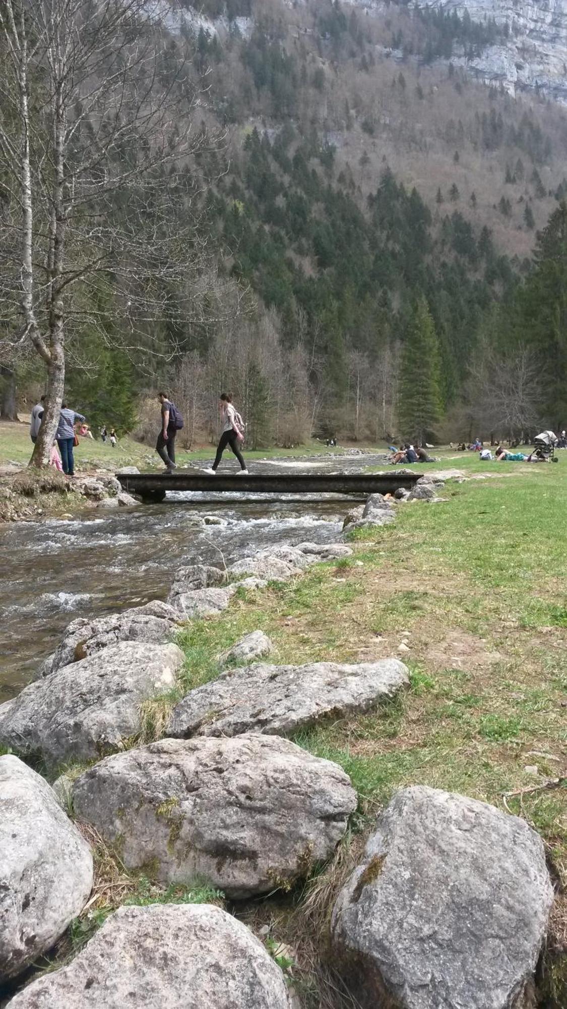 Les Tilleuls Saint-Jean-d'Avelanne エクステリア 写真